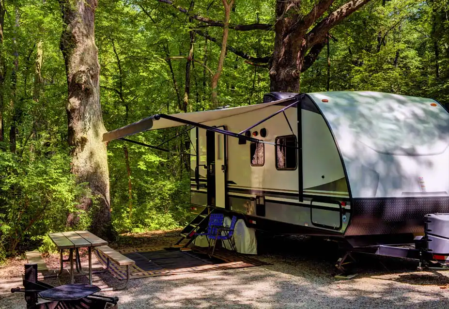 RV parked next to a forest
